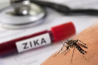 Ilustrasi virus Zika.