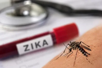 Ilustrasi virus Zika.