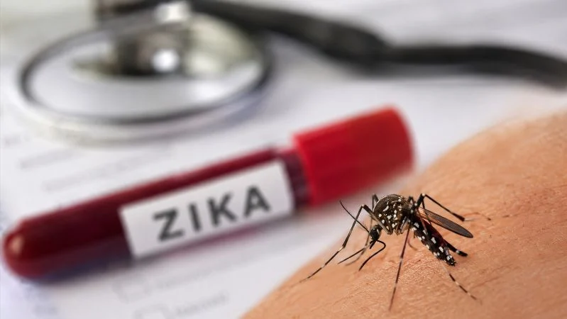 Ilustrasi virus Zika.