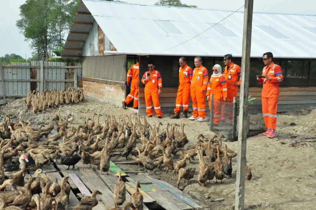 PHM memanfaatkan sampah organik berupa sisa makanan dari kafetaria di area operasi South Processing Unit (SPU). (Sumber: Dok. PHM)