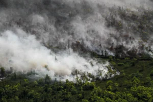Foto udara memperlihatkan asap membumbung tinggi dari kebakaran hutan dan lahan di Desa Tumbang Nusa, Kabupaten Pulang Pisau, Kalimantan Tengah