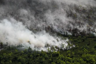 Foto udara memperlihatkan asap membumbung tinggi dari kebakaran hutan dan lahan di Desa Tumbang Nusa, Kabupaten Pulang Pisau, Kalimantan Tengah