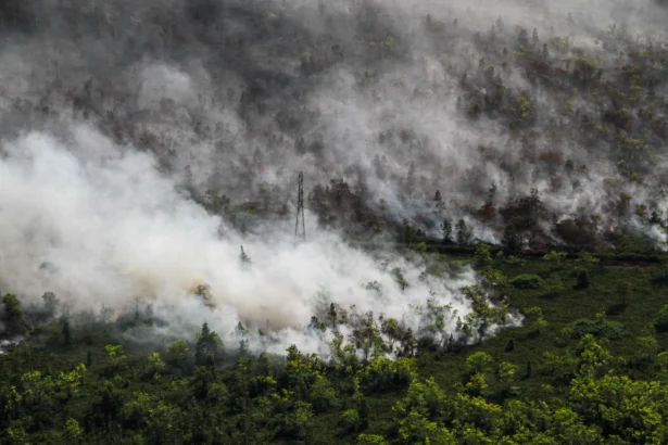 Foto udara memperlihatkan asap membumbung tinggi dari kebakaran hutan dan lahan di Desa Tumbang Nusa, Kabupaten Pulang Pisau, Kalimantan Tengah