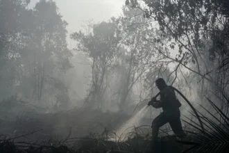 Personel TNI menyemprotkan air saat berupaya memadamkan kebakaran lahan gambut yang meluas di Desa Rimbo Panjang, Kecamatan Tambang, Kabupaten Kampar, Riau, Rabu (19/8/2026).