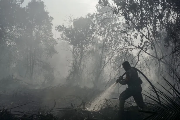 Personel TNI menyemprotkan air saat berupaya memadamkan kebakaran lahan gambut yang meluas di Desa Rimbo Panjang, Kecamatan Tambang, Kabupaten Kampar, Riau, Rabu (19/8/2026).