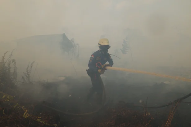Personel Pemadam Kebakaran Pemerintah Kabupaten Kubu Raya menyemprotkan air ke lahan gambut yang terbakar di belakang Komplek Arwana Indah, Desa Arang Limbung, Kecamatan Sungai Raya, Kabupaten Kubu Raya, Kalimantan Barat