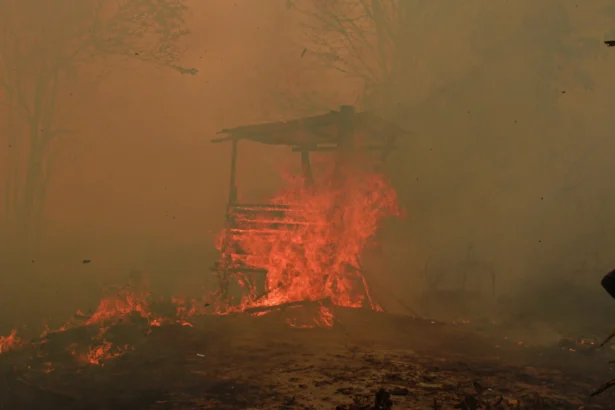 Api membakar sebuah pondok dari bambu di Kelurahan Sabaru, Palangka Raya, Kalimantan Tengah, Sabtu (15/8/2026).