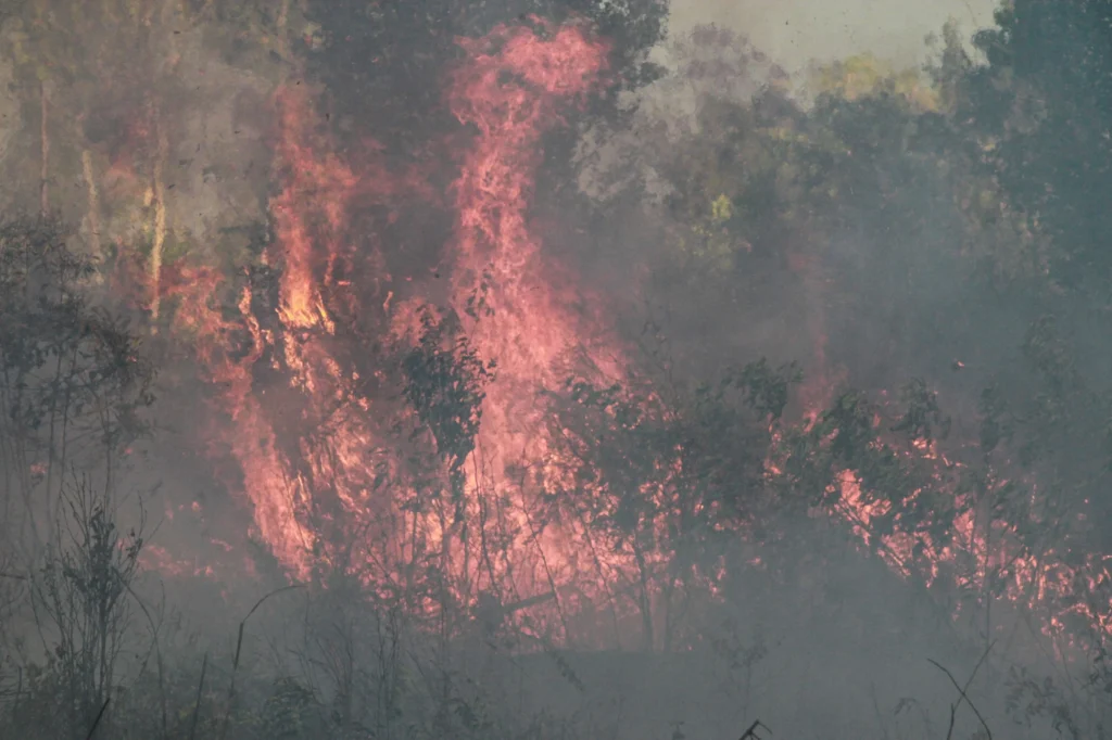 Api membakar semak belukar lahan di dekat kawasan permukiman Tegal Sari, Palangka Raya, Kalimantan Tengah