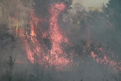 Api membakar semak belukar lahan di dekat kawasan permukiman Tegal Sari, Palangka Raya, Kalimantan Tengah