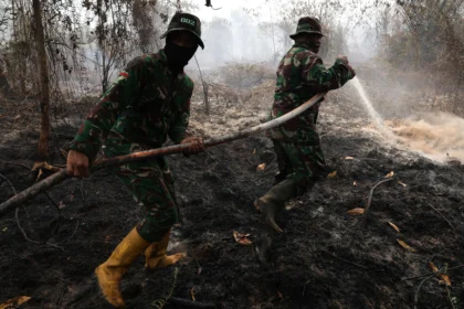 Personel Yonif TP 882/Hulubalang melakukan pembasahan untuk mencegah api kembali menyala di lokasi kebakaran lahan gambut di Desa Arang Limbung, Kecamatan Sungai Raya, Kabupaten Kubu Raya, Kalimantan Barat