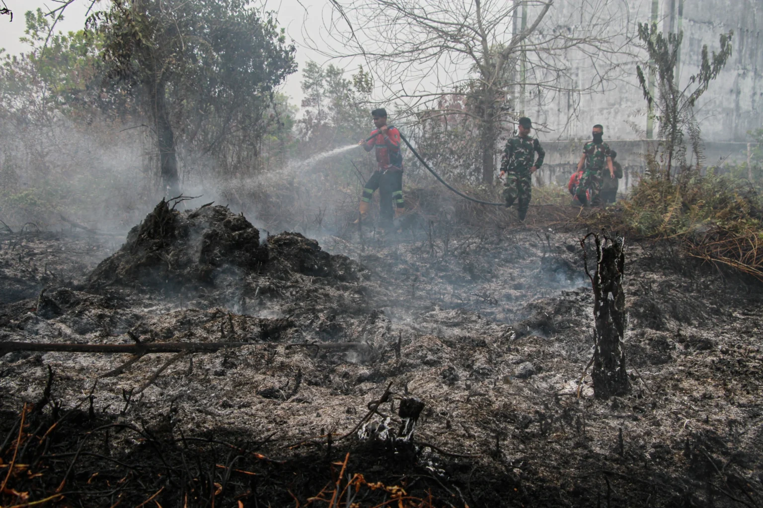 Relawan berupaya memadamkan kebakaran lahan di Kelurahan Kereng Bangkirai, Palangka Raya, Kalimantan Tengah. (Sumber: Antara Foto/Auliya Rahman/tom)