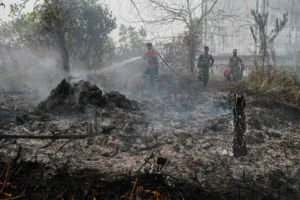 Relawan berupaya memadamkan kebakaran lahan di Kelurahan Kereng Bangkirai, Palangka Raya, Kalimantan Tengah. (Sumber: Antara Foto/Auliya Rahman/tom)