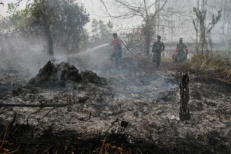 Relawan berupaya memadamkan kebakaran lahan di Kelurahan Kereng Bangkirai, Palangka Raya, Kalimantan Tengah. (Sumber: Antara Foto/Auliya Rahman/tom)