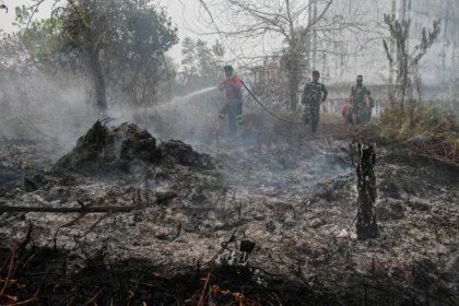 Relawan berupaya memadamkan kebakaran lahan di Kelurahan Kereng Bangkirai, Palangka Raya, Kalimantan Tengah. (Sumber: Antara Foto/Auliya Rahman/tom)