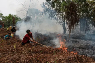 Warga berupaya memadamkan Kebakaran lahan di Kelurahan Kereng Bangkirai, Palangka Raya, Kalimantan Tengah, Senin (24/8/2026).