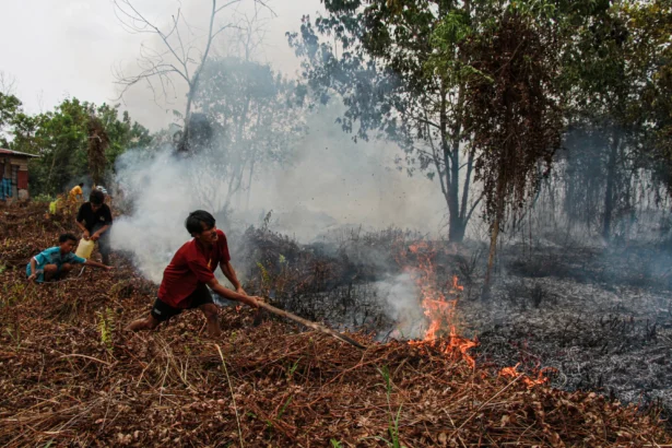 Warga berupaya memadamkan Kebakaran lahan di Kelurahan Kereng Bangkirai, Palangka Raya, Kalimantan Tengah, Senin (24/8/2026).