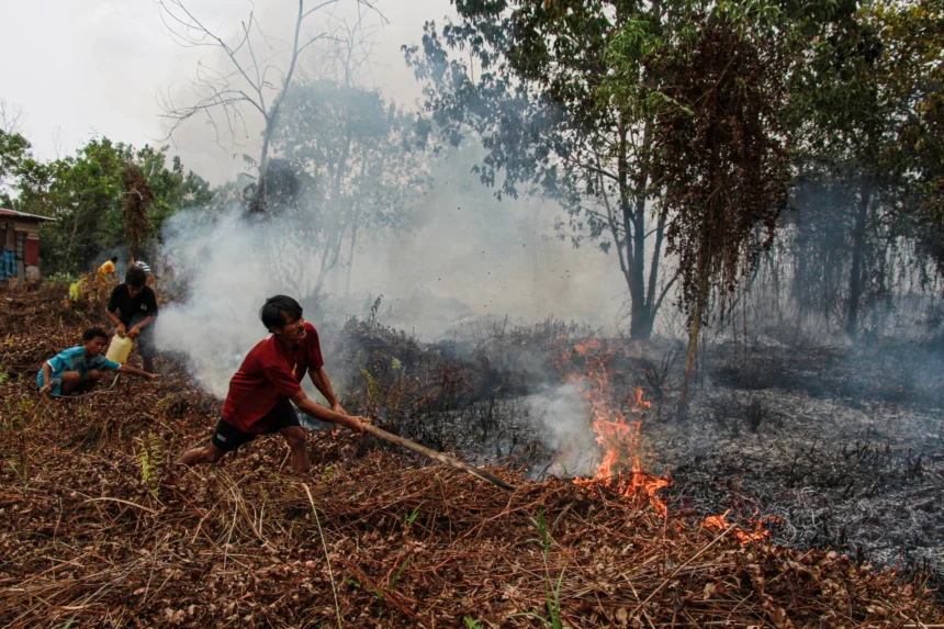 Warga berupaya memadamkan Kebakaran lahan di Kelurahan Kereng Bangkirai, Palangka Raya, Kalimantan Tengah, Senin (24/8/2026).