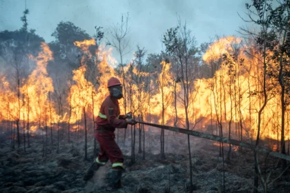 Petugas dari Manggala Agni Daops Sumatera XIV-Banyuasin menarik selang air untuk memadamkan kebakaran lahan di Desa Pulau Semambu, Kecamatan Indralaya Utara, Kabupaten Ogan Ilir (OI), Sumatera Selatan, Minggu (16/8/2026).