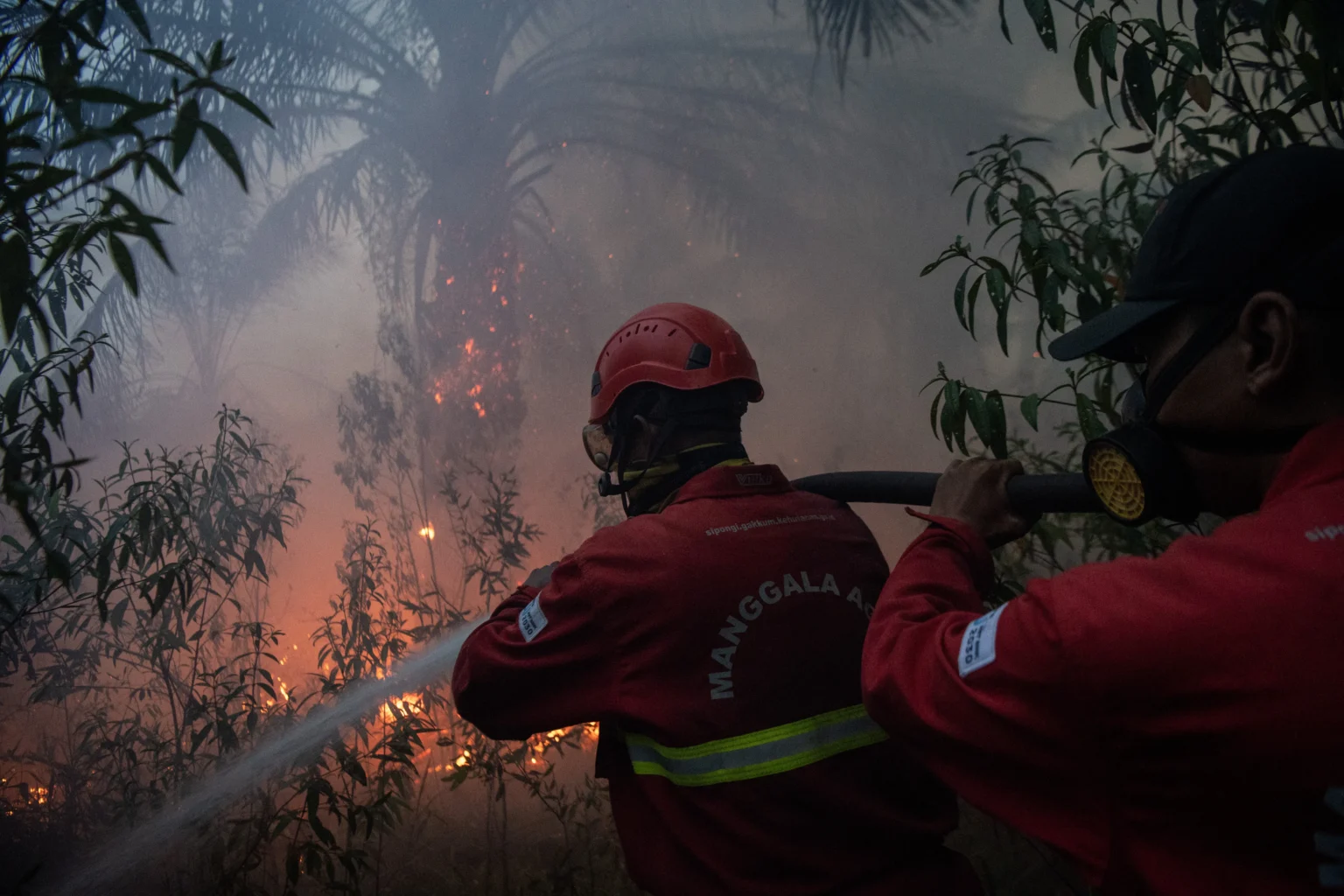 Petugas dari Manggala Agni Daops Sumatera XIV-Banyuasin berusaha memadamkan kebakaran lahan perkebunan kelapa sawit di Desa Sungai Rambutan, Kecamatan Indralaya Utara, Ogan Ilir (OI), Sumatera Selatan