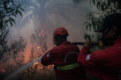 Petugas dari Manggala Agni Daops Sumatera XIV-Banyuasin berusaha memadamkan kebakaran lahan perkebunan kelapa sawit di Desa Sungai Rambutan, Kecamatan Indralaya Utara, Ogan Ilir (OI), Sumatera Selatan
