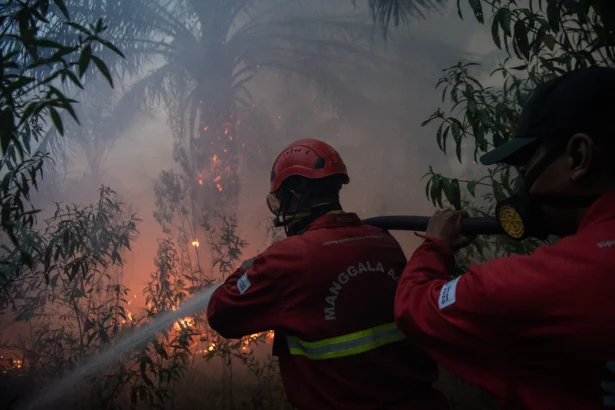 Petugas dari Manggala Agni Daops Sumatera XIV-Banyuasin berusaha memadamkan kebakaran lahan perkebunan kelapa sawit di Desa Sungai Rambutan, Kecamatan Indralaya Utara, Ogan Ilir (OI), Sumatera Selatan