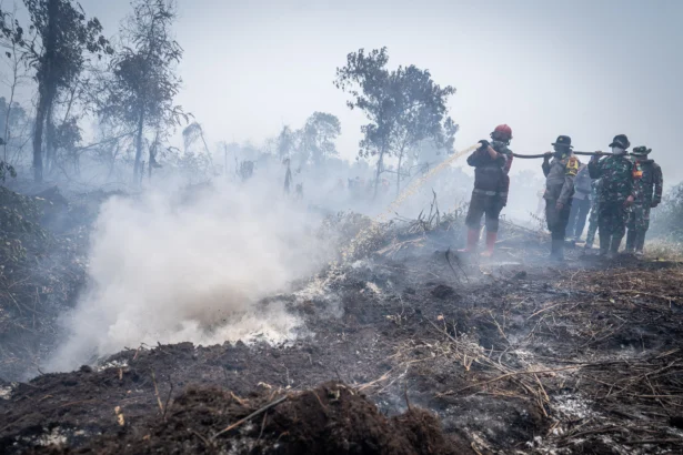 Petugas gabungan menyemprotkan air saat penanganan kebakaran hutan dan lahan (karhutla) di Kabupaten Kampar, Riau