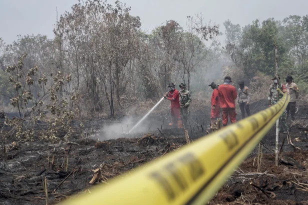 Petugas Kepolisian Polres Kampar dibantu Satgas Karhutla Riau memasang garis polisi saat menyegel lahan seluas lima hektare yang terbakar di Desa Rimbo Panjang, Kabupaten Kampar, Riau, Sabtu (22/8/2026).