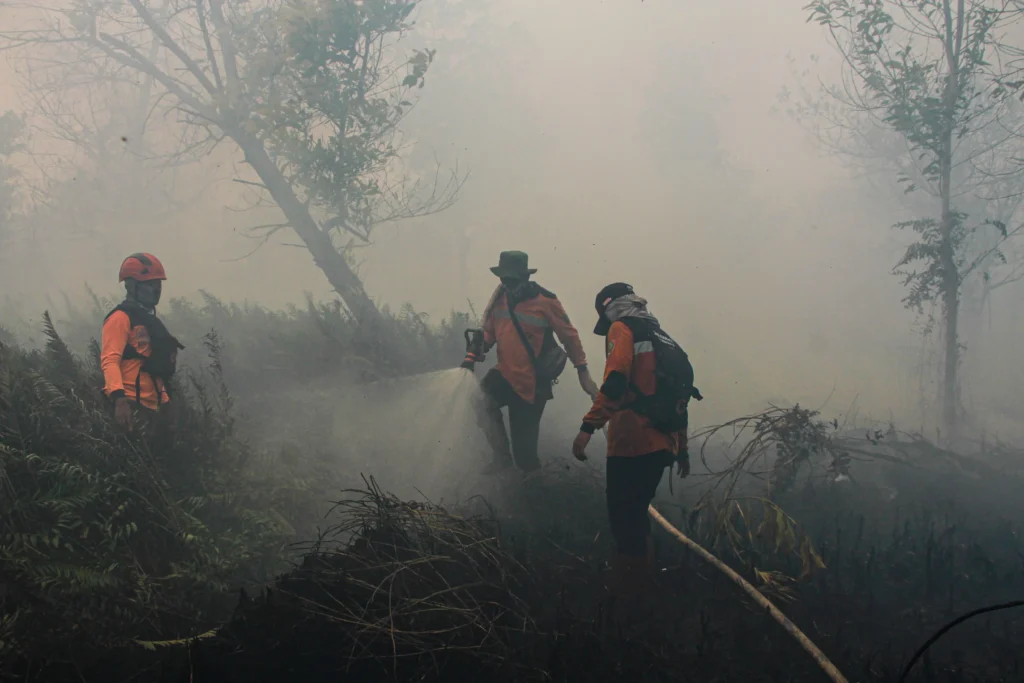 Petugas berupaya memadamkan kebakaran lahan di Petuk Katimpun, Palangka Raya, Kalimantan Tengah