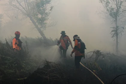 Petugas berupaya memadamkan kebakaran lahan di Petuk Katimpun, Palangka Raya, Kalimantan Tengah