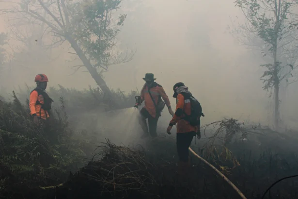 Petugas berupaya memadamkan kebakaran lahan di Petuk Katimpun, Palangka Raya, Kalimantan Tengah