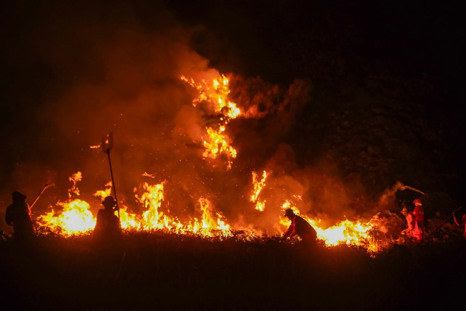 Petugas gabungan berupaya memadamkan kebakaran hutan di kawasan Taman Nasional Bromo Tengger Semeru (TNBTS), Kabupaten Pasuruan, Jawa Timur,