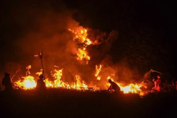 Petugas gabungan berupaya memadamkan kebakaran hutan di kawasan Taman Nasional Bromo Tengger Semeru (TNBTS), Kabupaten Pasuruan, Jawa Timur,