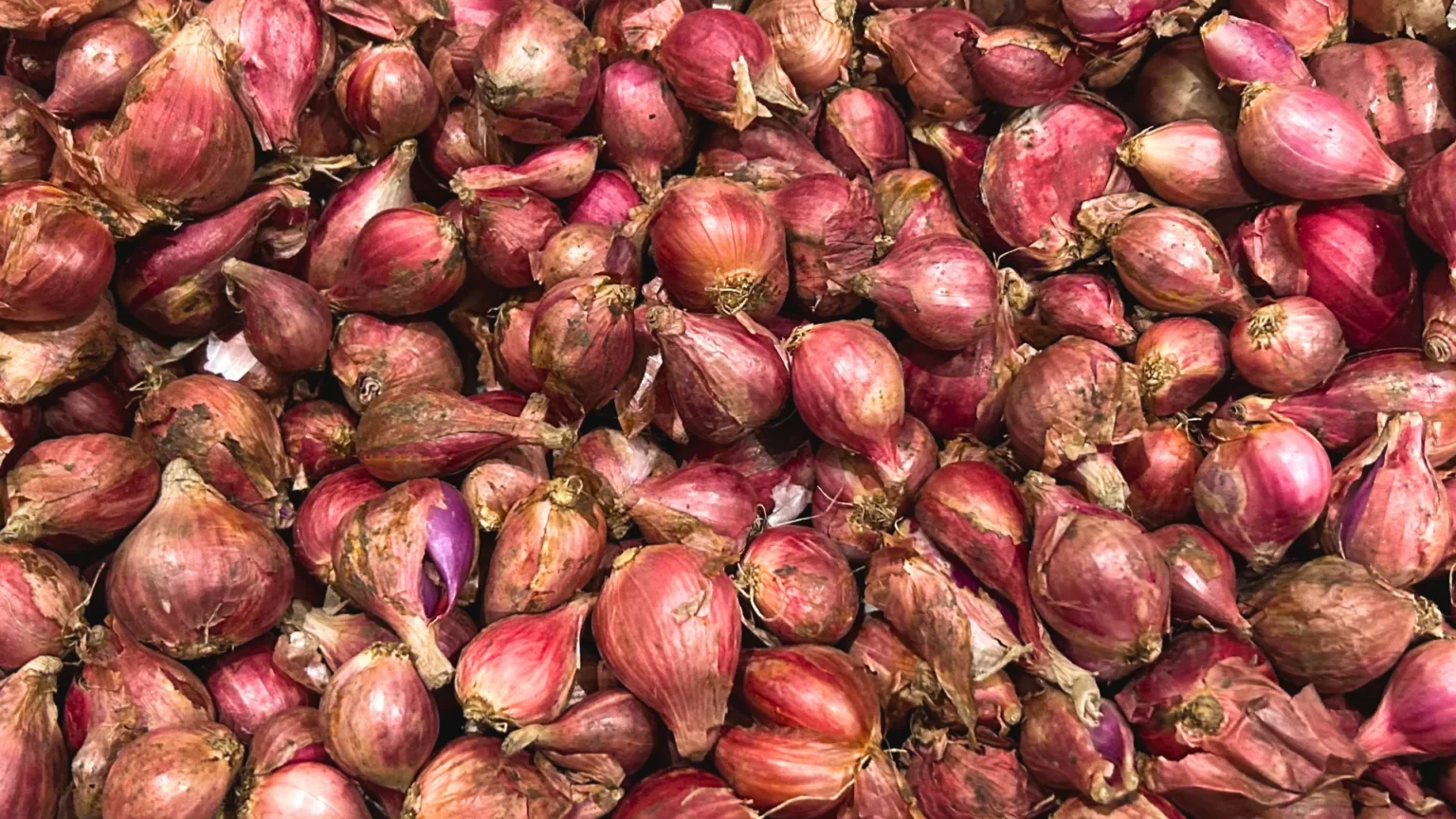 Bawang merah