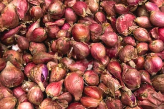 Bawang merah