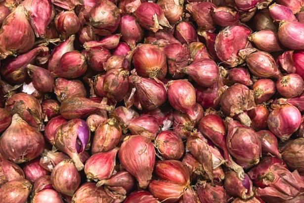 Bawang merah