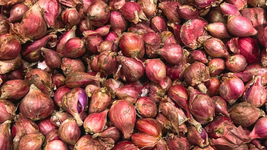 Bawang merah