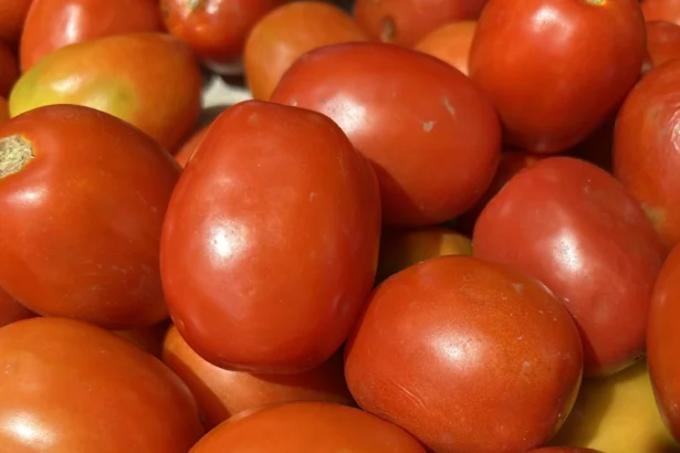 Buah Tomat