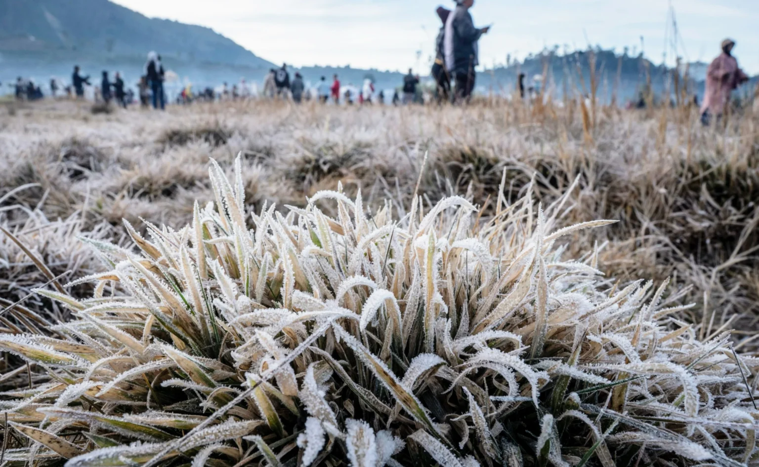 Fenomena Embun Upas di Dieng