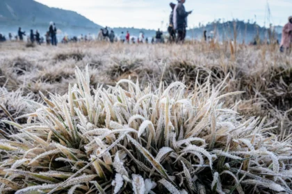 Fenomena Embun Upas di Dieng