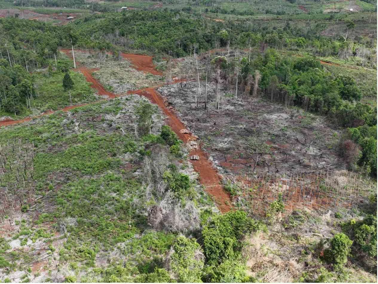 Kementerian Kehutanan Tangkap Tersangka Jual-Beli Lahan Hutan Lindung