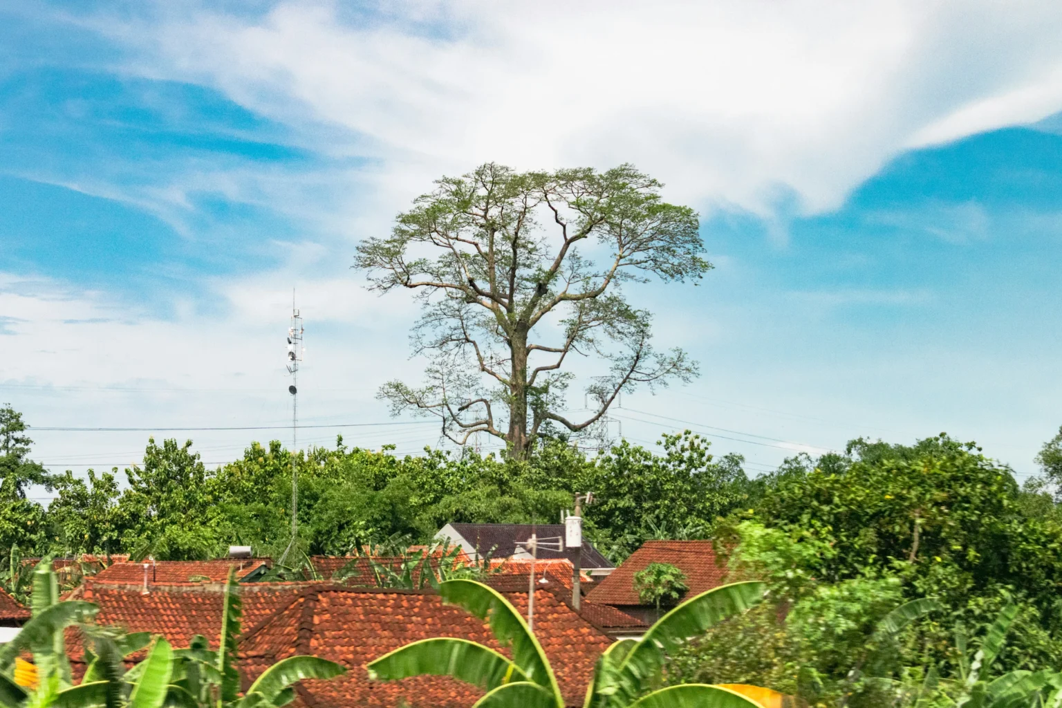 Cuaca berawan
