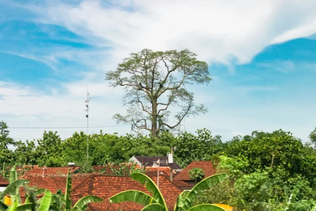 Cuaca berawan
