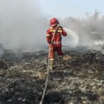 Petugas Manggala Agni Daops Kota Jambi memadamkan api yang membakar lahan gambut di Desa Persiapan Air Merah, Muaro Jambi, Jambi,