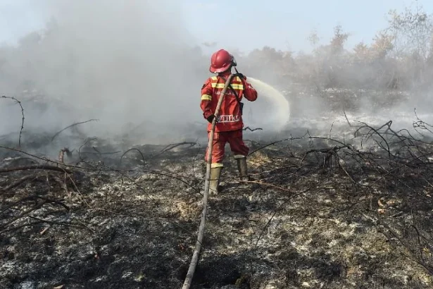 Petugas Manggala Agni Daops Kota Jambi memadamkan api yang membakar lahan gambut di Desa Persiapan Air Merah, Muaro Jambi, Jambi,