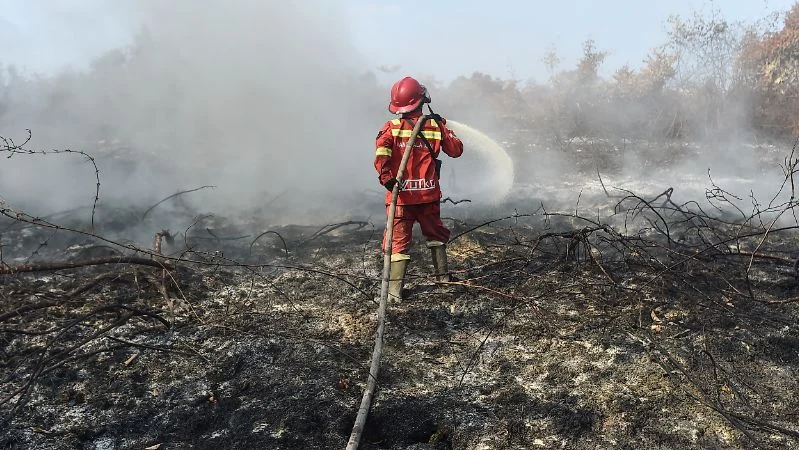 Petugas Manggala Agni Daops Kota Jambi memadamkan api yang membakar lahan gambut di Desa Persiapan Air Merah, Muaro Jambi, Jambi,