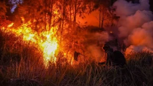 Petugas gabungan berupaya memadamkan kebakaran hutan di kawasan Taman Nasional Bromo Tengger Semeru (TNBTS), Kabupaten Pasuruan, Jawa Timur.