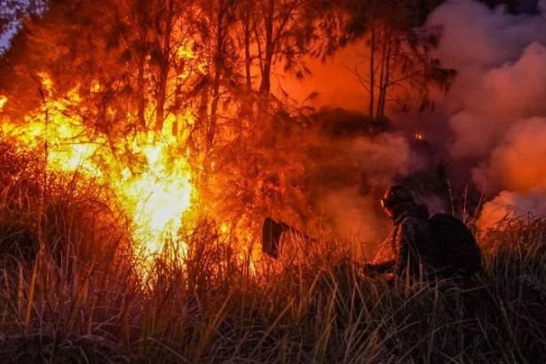 Petugas gabungan berupaya memadamkan kebakaran hutan di kawasan Taman Nasional Bromo Tengger Semeru (TNBTS), Kabupaten Pasuruan, Jawa Timur.