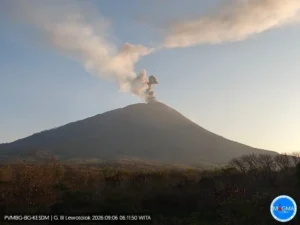 Gunung Ili Lewotolok erupsi pada Minggu, 6 September 2026.