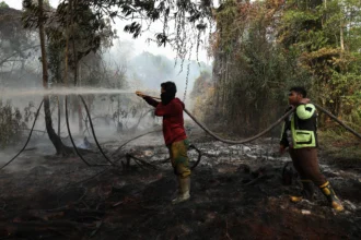 Petugas pemadam kebakaran Mitra Bhakti menyemprotkan air ke lahan gambut yang terbakar di Kabupaten Kubu Raya, Kalimantan Barat, Minggu
