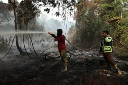 Petugas pemadam kebakaran Mitra Bhakti menyemprotkan air ke lahan gambut yang terbakar di Kabupaten Kubu Raya, Kalimantan Barat, Minggu